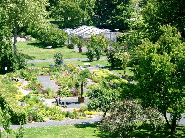 Kassel Botanical Garden, Kassel, Germany, Germany
